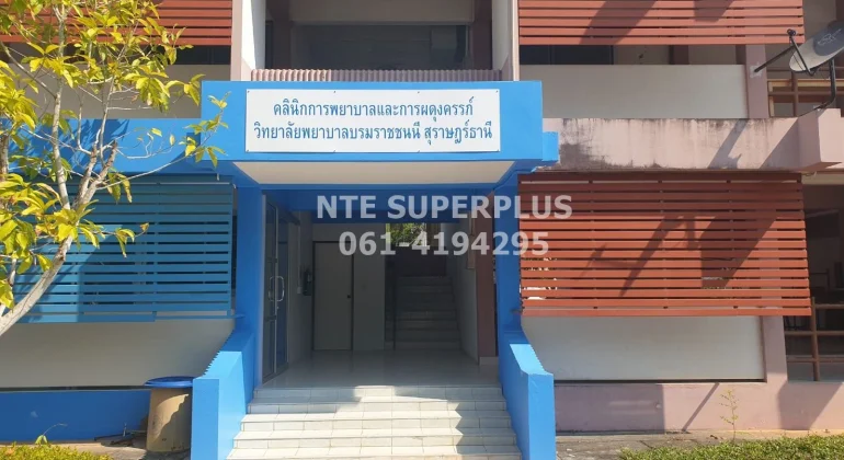 มองจากด้านหน้าบันไดทางเข้าอาคาร – มุมมองที่แสดงการต้อนรับและทางเข้าอาคารหลังการปรับปรุง